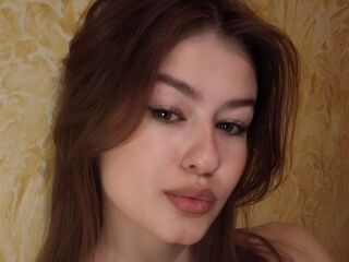 Karenfalknar